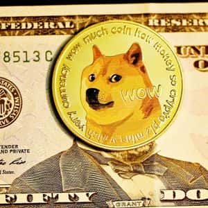 Exploring the Surge of Paydax (PDP) Backed by Dogecoin Millionaires