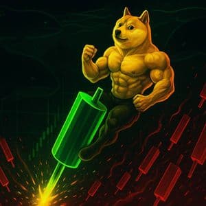 DOGE Leads Market Rebound With Violent Short Squeeze — Whales Back in Play