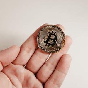 Биткоин-кит продал 24 000 BTC, вызвав панику на рынке