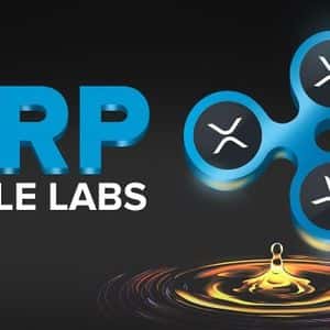 Ripple Scores Another Huge Win As Chinese Powerhouse Moves Trillion-Dollar Supply Chain To XRP Ledger