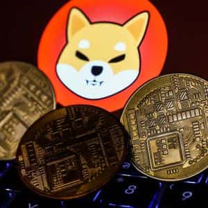 Shiba Inu Exec Gives Reasons To Keep Going Despite SHIB Price Crash
