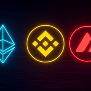 Ethereum, Binance Coin & Avalanche im Fokus: Wie viel aus 1.000 Euro geworden wären