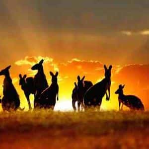 Australia Cracks The Whip: Crypto Exchanges Face Tough New Rules