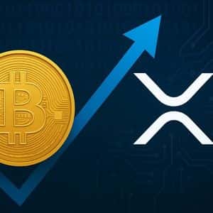 Bitcoin, XRP i nowa fala adopcji kryptowalut. Co przyniesie ostatni kwartał 2025 roku?