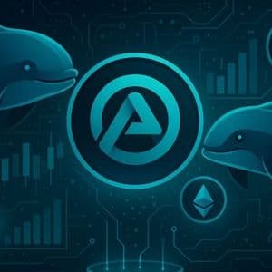 Whales Keep Stacking Aster: Data Reveals 8% Controlled By Two Wallets