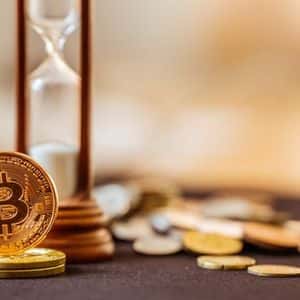 Bitcoin Profitability On The Rise — More Coins Back In The Green As Market Recovers