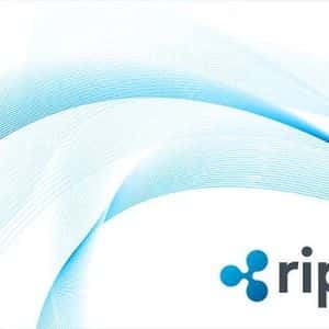 Ripple Prime: How The Company Just Set A Major Record That Boosts The XRP Ledger
