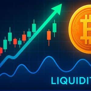 SSR Oscillator Signals Liquidity Waiting To Enter Bitcoin – Details
