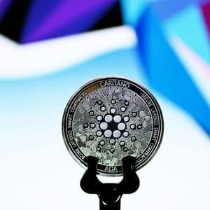 Cardano Network Sees Explosive Growth in Adjusted On-Chain Volume During Market Whipsaw