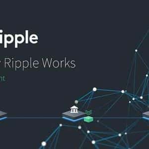 Ripple Just Launched A Game-Changing Service In The US Leveraging XRP And RLUSD
