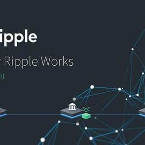 Ripple Just Launched A Game-Changing Service In The US Leveraging XRP And RLUSD