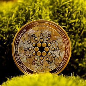 Time For A Cardano Reset? Crypto Pundit Claims Its DeFi Must Undergo Full Structural Overhaul