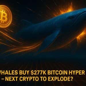 Whales Buy $277K Bitcoin Hyper in Two Days: Next Crypto to Explode?