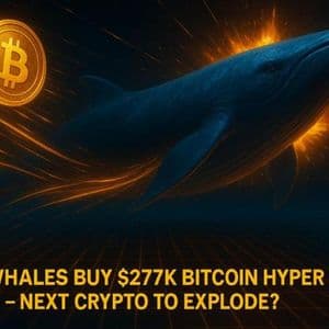 Whales Buy $277K Bitcoin Hyper in Two Days: Next Crypto to Explode?