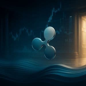 Is A Ripple IPO Coming? Garlinghouse Shares New Insights