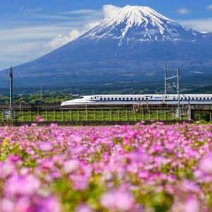 Metaplanet Buys 103 Bitcoin, Now Holds 18,991 BTC Valued at $1.95B