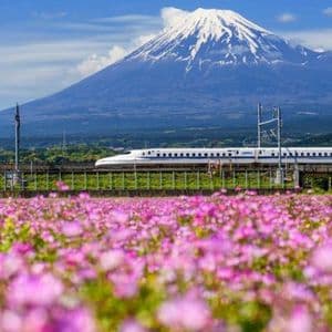 Metaplanet Buys 103 Bitcoin, Now Holds 18,991 BTC Valued at $1.95B