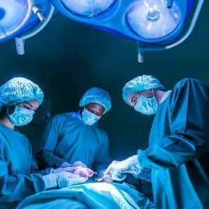 Putin and Xi Overheard Discussing Life Extension, Sparking Global Buzz