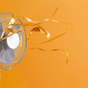 Bitcoin Hits $114K as Inflation Cools