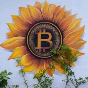 Blockchain Sleuth Points out El Salvador Might Be ‘Recycling Bitcoin’