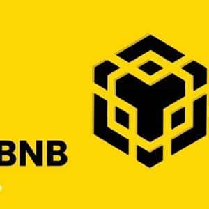 BNB Chain Validators Move to Halve Gas Fees With New Proposal