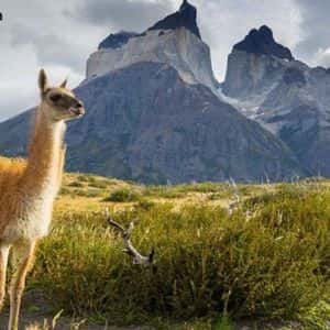 Defillama Delists Aster Perp Volumes Over Suspected Wash Trading