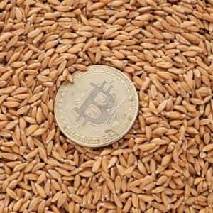 DDC Enterprise Secures $124 Million to Accelerate Bitcoin Treasury Expansion