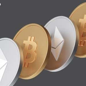 Bitcoin and Ether ETFs Rebound With $339 Million in Inflows