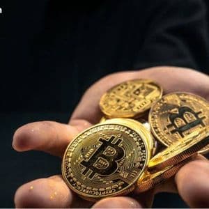 Legacy Wallets Drive Bitcoin’s November Pullback