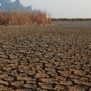 Mike McGlone’s Scorched Earth Prediction: $56K Bitcoin in the Horizon