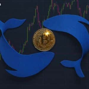 Bitcoin Tumbles Below $100K Amid Sell-Off by Long-Term ‘OG’ Whales