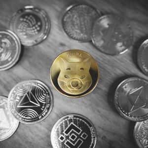 Shiba Inu Sees 300% Surge In This Major Metric, Is The Bottom In?