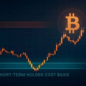 Bitcoin Finds Support At Short-Term Holder Cost Basis, But For How Long?