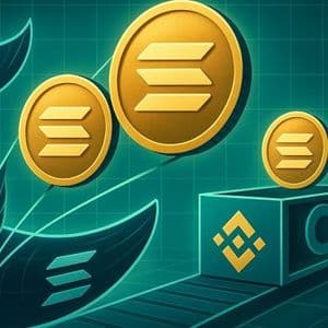 Whales Are Buying Solana: Two Wallets Pull 376K Tokens From Binance