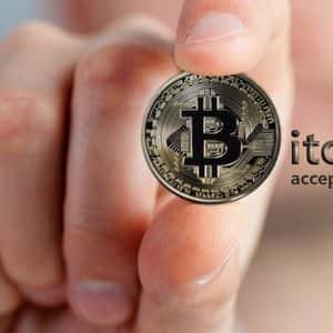 Germany’s Bitcoin Seizure Program Exposed: Nearly $5 Billion In BTC Left Dormant