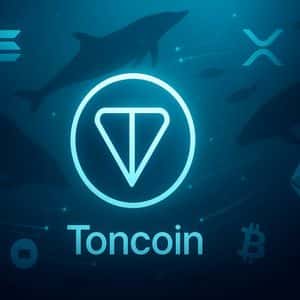 Toncoin, Quant Seeing Whale Activity Explosion, Big Move Ahead?