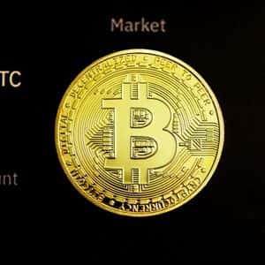 Bitcoin Holds $117,500 On Retail Support While Whales Stay Quiet – Cause For Concern?