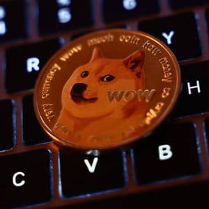 Historical Risk Levels Say Dogecoin Price Has Not Topped Yet, More Upside Coming?