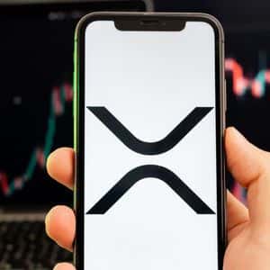 Analyst Urges All XRP Investors To Pay Attention To This Connection No One Has Made Before