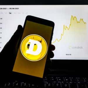 Why The Dogecoin Price Could Reverse To $0.5 As Momentum Reaches Historical Lows