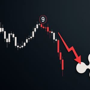 Is XRP Headed For A 16% Drop? Signal Flashes Familiar Warning