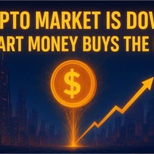 Crypto Market Is Down: Smart Money Buys the Dip