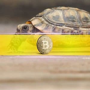 Why Is Bitcoin Crawling This Cycle? Analyst Reveals the Hidden Factors