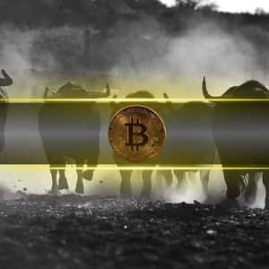 Bitcoin Slows Down, But Fall 2025 Could Ignite Its Biggest Rally Yet