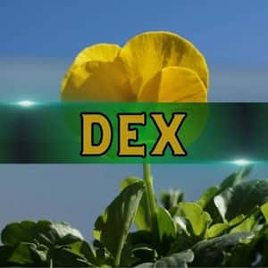 DeFi vs. CEX? CZ Says the Winner Is Clear – and It’s Not Centralization