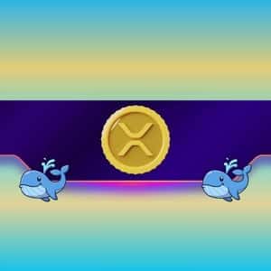 Will This Crucial Support Finally Halt XRP’s Freefall as Ripple Whales Return?