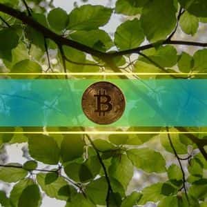 Red August, Green Signals: Why Bitcoin’s Structure Remains Unshaken