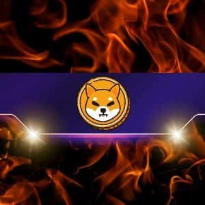 Shiba Inu Burn Rate Skyrockets 200,000% in 24 Hours – Is a Price Surge Next?