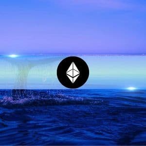 Ethereum Whales Boost Holdings by 14% in 5 Months as Price Targets $4,500