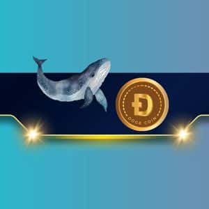 Whale Panic? 200,000,000 DOGE and 50,000,000 ADA Sold in 48 Hours